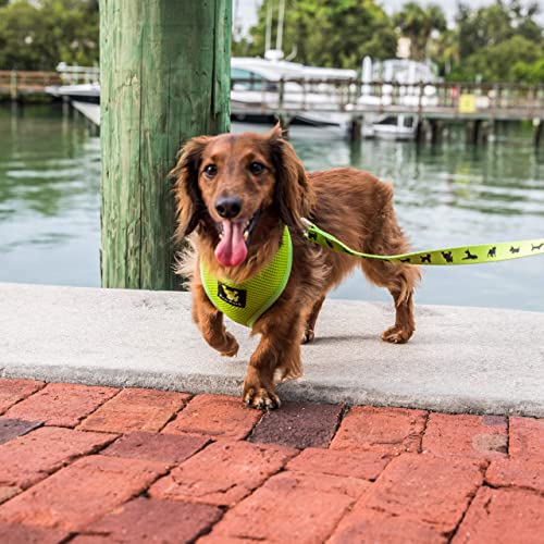 Image of Classic Dog Harness Innovative Mesh No Pull No Choke Design Soft Double Padded Breathable Vest for Eco-Friendly Easy Control Walking Quick Release for Puppies Toy Breeds & Medium Dogs (Med, Green)