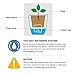 Self Watering Planter , FENGZHITAO African Violet Pots, Clear Plastic Automatic-Watering Planter Flower Pot Square Plant Pot for All House Plants, Succulents, Herb, African Violets (3 Packs Small)
