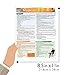 Medical Transcription (Quick Study Academic)