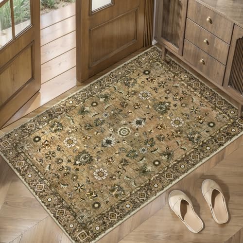Image of Tangsoo Brown 2x3 Washable Rugs for Entryway, Non Slip Small Area Rug