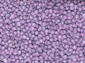 Millions Blackcurrant 250g / 8.8 ounces