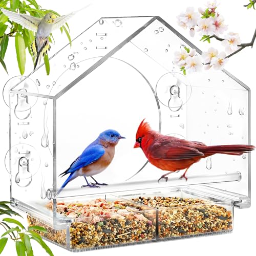 10 Best Window Bird Feeders for Cats to Keep Your Feline Entertained