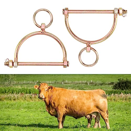 BORDSTRACT 2 Peças De Anéis De Nariz De Vaca De Aço Inoxidável, Braçadeiras De Nariz De Gado Em Form
