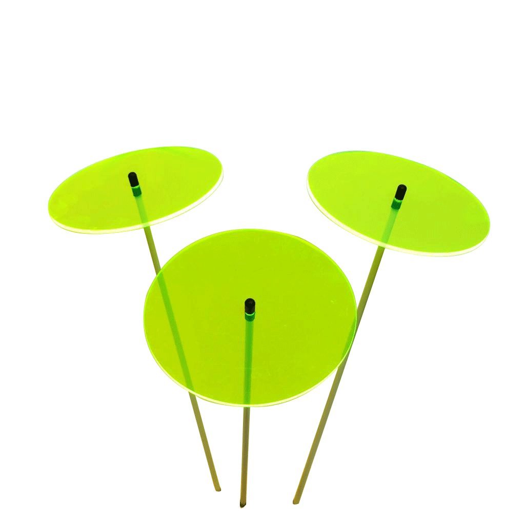 Sun Catcher Garden Decor Glowing Sun Discs Set of 3 Large Garden Stake 75cm, 29.5 inches high Indoor Outdoor Yard Accessory Gardeners Gift, Colour:Green