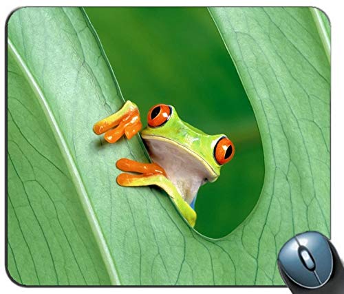 Der Frosch Personalisiertes Mousepad – Rechteckig, Bedruckt, Rutschfeste Unterseite, Waschbar
