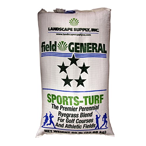 The Best Grass Seed Brands of 2024 Homeer