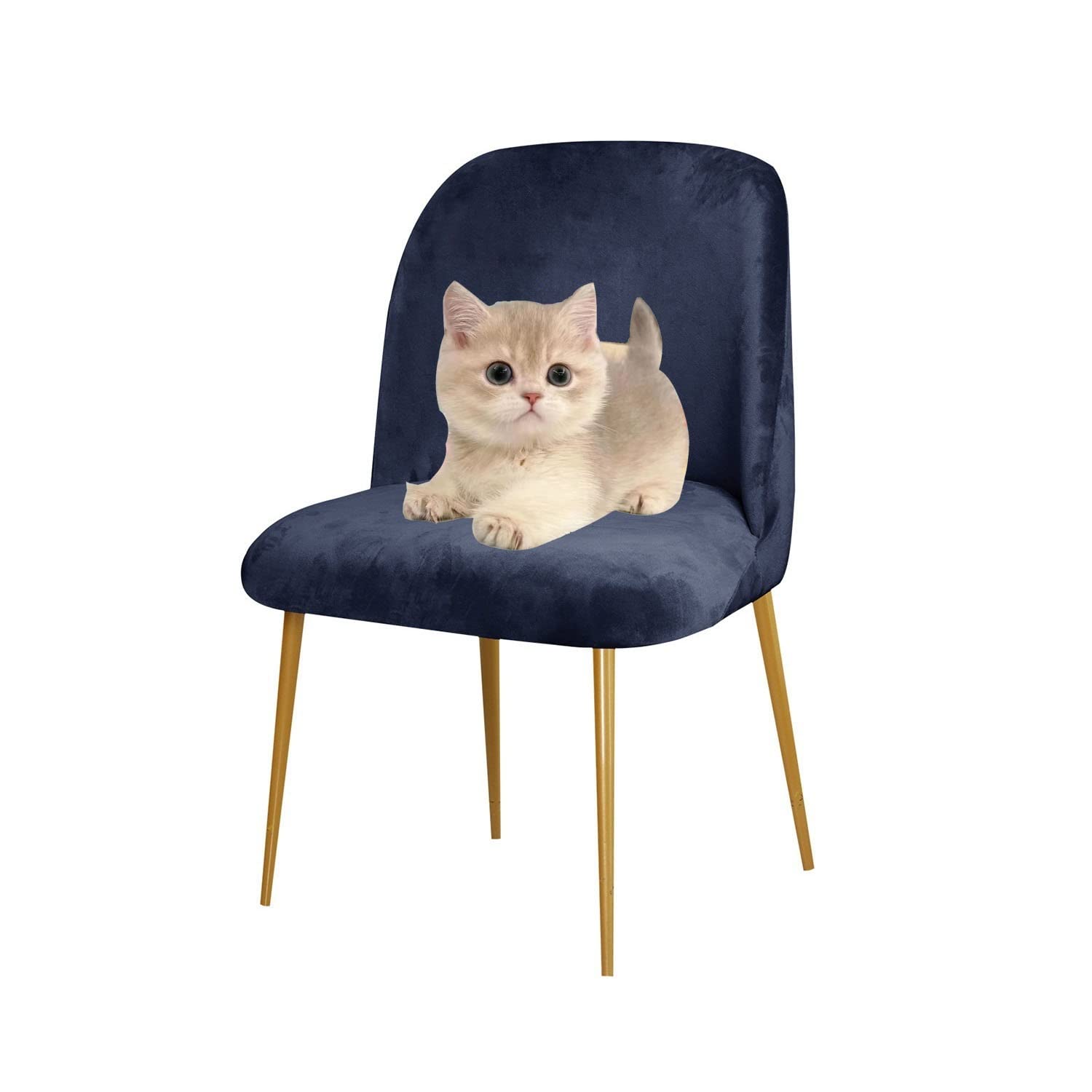 Lot de 4/6 housses de chaise de salle à manger extensibles – Protections de siège lavables sans accoudoirs noires pour salle à manger et bureau modernes – Design de dossier de coque (couleur : G