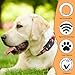 [2 Pack] Waterproof AirTag Dog Collar Holder Case, Silicone Full-Body Protection, Soft Lightweight Stretchable Design for Dog Collars (Black)