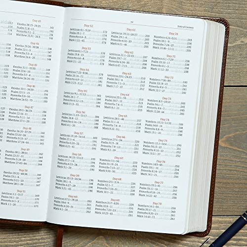 CSB Every Day with Jesus Daily Bible, Brown Leathertouch: Black Letter, 365 Days, One Year, Ribbon M