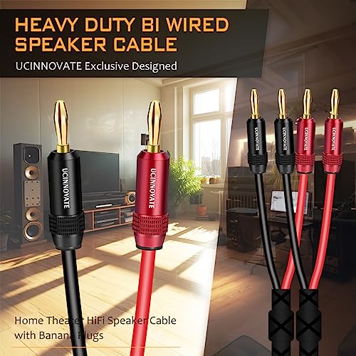 VVFLED 2 Pack Bi-wire Speaker Cable with Gold Plated Banana Plugs - Image 3
