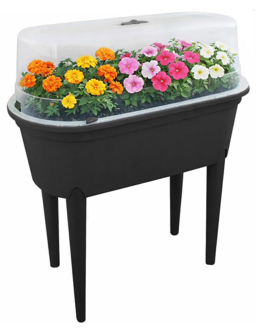 Outdooroasis Grey Raised Beds For Garden & Patio Planter With Greenhouse Cover – Elevated Mini Propagator On Legs For Vegetables, Herbs & Seeds – Portable Plastic Grow House (83Cm),