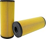 Champ Labs P843 Oil Filter, Pack of 1