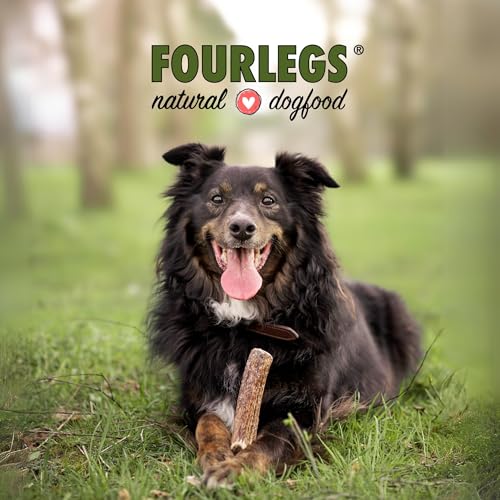 FOURLEGS® natürlicher Kausnack für Hunde aus 100% Hirschgeweih - Mineralstoffe, Kauspielzeug, Kaustange, Wildgeschmack, Geweih, Knochen, Hirsch, Kauartikel - Größe M ganz