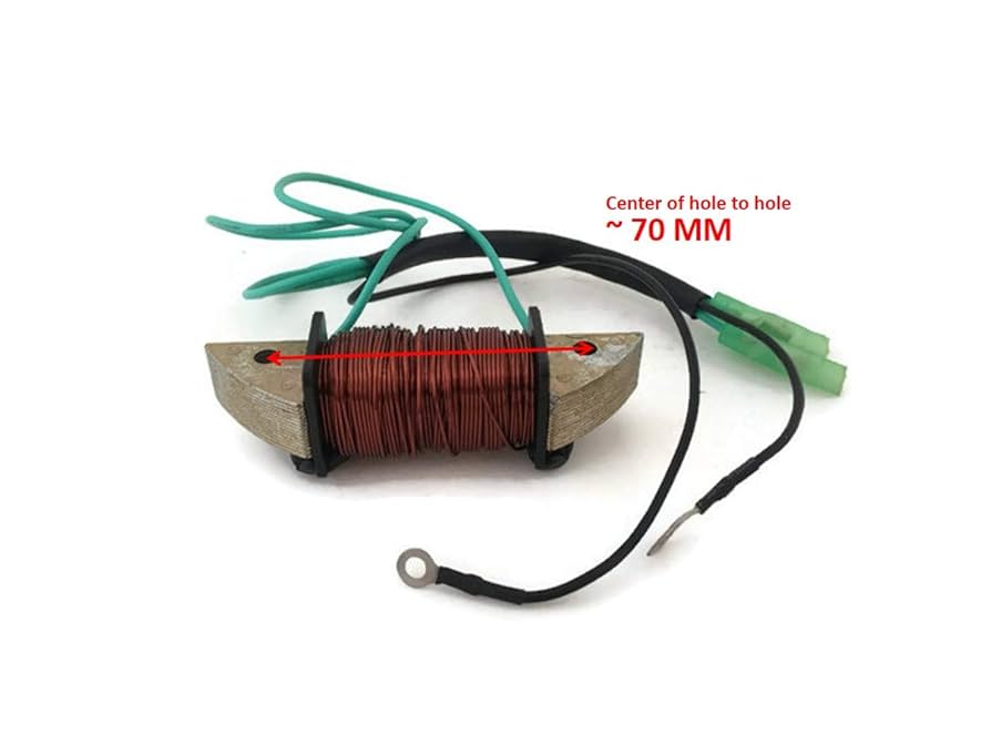 Amazon.com: Boat Motor 6F5-85533-10 00 Lighting Coil for