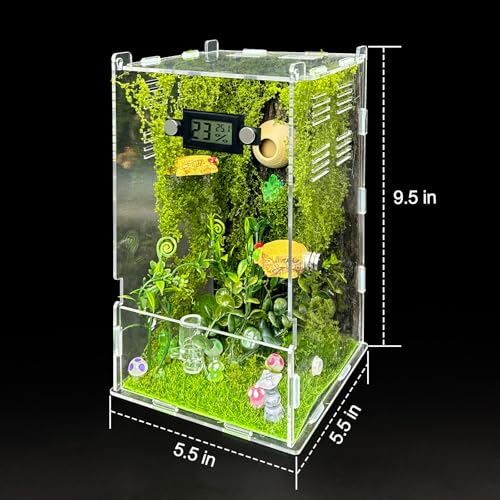 Image of Jumping Spider Enclosure,DIY Insects Habitat,Small Reptile Terrarium Glass House Accessories Set,with Temperature and Humidity Detector Water Feeder Platform Hide,5.5 inchx5.5 inchx9.5 inch (Forest)