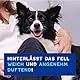 DOUXO Skin & Coat SPA – Ultra-Safe* Trockenshampoo Hund, 150 ml, säubert und erfrischt das Fell, hinterlässt das Fell weich, glänzend und angenehm duftend, hautfreundliche Formel