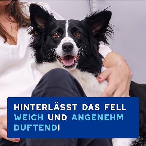 DOUXO Skin & Coat SPA – Ultra-Safe* Trockenshampoo Hund, 150 ml, säubert und erfrischt das Fell, hinterlässt das Fell weich, glänzend und angenehm duftend, hautfreundliche Formel