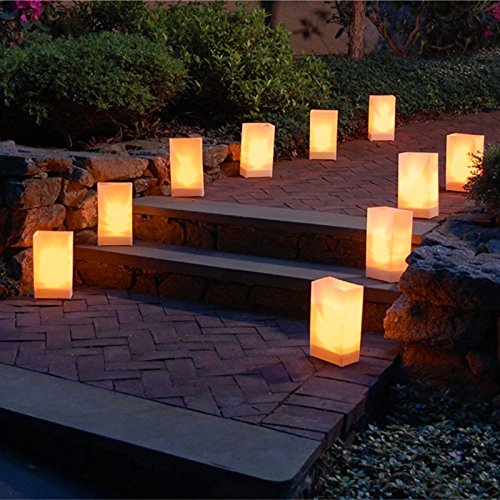 Fascola White Luminary Bags - 10 Count - Sunburst Design - Flame Resistant Paper - Christmas Holiday Outdoor Decorations - Party And Event Decor - Luminaria Candle Bag - Ten Bags (Sunburst) #TOP2