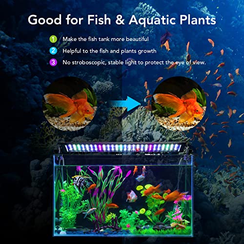 Honpal Led Aquarium Light , Fish Tank Light With Extendable Brackets, White And Blue Leds & Full Spectrum Fish Tank Light For Aquatic Reef Coral Plants And Freshwater Fish Tank, Black #TOP6
