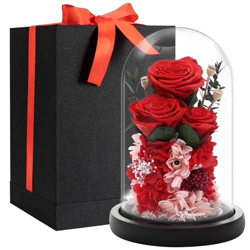 Forever Real Preserved Real Roses in Glass Dome | Romantic Gift for Her | Eternal Rose Gift for Women, Mom, Wife, Girlfriend | Decorative Flower for Anniversary, Birthday | Elegant Gift Box Included