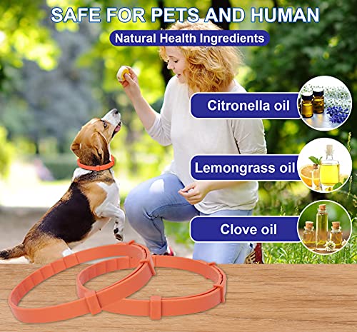 2 Pack Natural Flea Collar for Dogs with 8-Month Prevention, Waterproof Dog Flea and Tick Collar, Adjustable Flea and… - Image 6