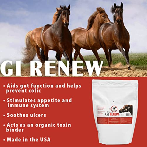 Pennwoods 121344 Gi Renew, Probiotics For Equine, Immune And Appetite Stimulation, Prebiotics, Digestive Enzymes | Horse Supplement Providing Ulcer Relief And Organic Toxin Binder thumb #1