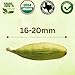 SPICY ORGANIC Green Cardamom Pods – 2 oz - Whole Cardamon Seeds for Authentic Spice Flavor, Natural Cardamon Pod for Tea, Cooking, and Baking- USDA Certified Organic, Gluten-Free, Non-GMO and Kosher