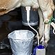 KONTONTY 1satz Handmilchmaschine für Kühe und Schafe Tragbare Haushaltsziege für Rinder und Ziegen Melkmaschinen mit Klarem Behälter zur Milchüberwachung