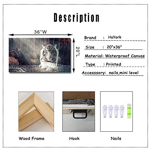 Derkymo White Tiger Meditation Picture Prints On Canvas Animal Wall Art Zen Artwork Paintings For Home Decoration Stretched And Framed Ready To Hang 20X36 Inches #TOP4
