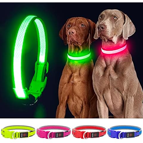 YFbrite Light up Dog Collar, Rechargeable LED Dog Collar, Flashing Dog Collar, Adjustable Reflective Dog Collar Safety Glowing at night (Green, Medium) Cover