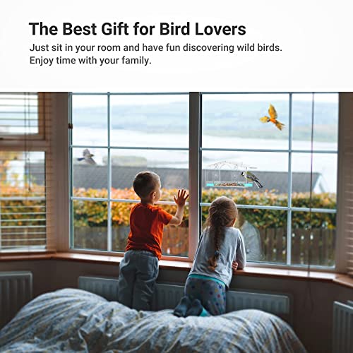 Sahara Sailor Mangiatoia Uccelli Finestra, con 4