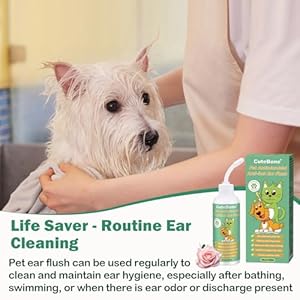 CuteBone Dog Anti-Itch Ear Flush – Cleans & Removes Wax Odor, Deodorizes, Soothes Ear Inflammation for Pet – Easy Ear Wash Care Solution – Ear Cleaner 4 fl.oz & 30 Cotton Swabs Kit