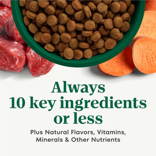 Image of Nutro Limited Ingredient Diet Dry Dog Food, Lamb & Sweet Potato, 4 lb
