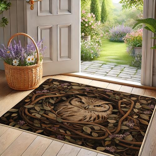 Paillasson en forme de chouette marron pour entrée en extérieur et intérieur, décoration d'automne, en caoutchouc, imperméable, antidérapant, absorbant...