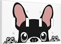 Vista 88 de Cubierta decorativa para interruptor de luz dúplex de 1 banda, placa frontal eléctrica, placa de receptáculo para baño, cocina, decoración del hogar