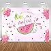 Mocsicka Watermelon Birthday Backdrop One in a Melon 1st Birthday Background 7x5ft Vinyl Watermelon First Birthday Party Banner Backdrops