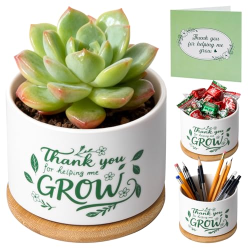 T4U Thank You for Helping Me Grow 1 Pack Thank You for Helping Me Grow Gift for Teacher Mini Succulent Pots for Plant Lovers Thanksgiving Teacher Gift Small Cactus (3.5 Inch)