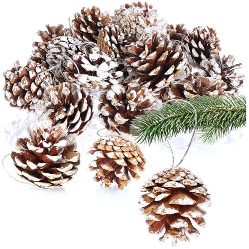 com-four® 25x pine cone pendants with white tips - pine cones as Christmas decoration - cone decoration for hanging - craft set - Christmas decorations (30 cones - white tips)