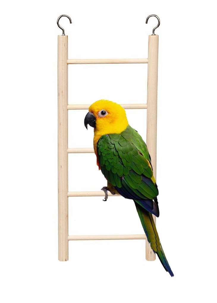 Natural Wood Ladder for Birds, Playful Climbing Cage Hanging Ladder Toy to Decorate Bird Cage (24cm - 5 Steps) 2