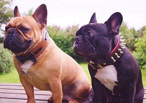 Bestia Bowtie'' Hundehalsband mit Lederfliege.Handgemacht. 100% Leder.