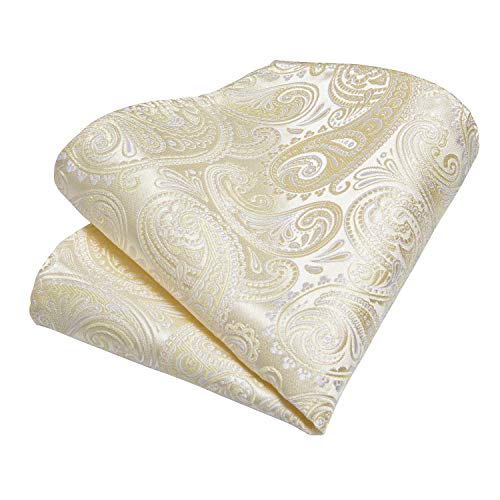 Image of DiBanGu Paisley Ties for Men Silk Necktie and Pocket Square Cufflinks Tie Clip Set Woven Classic Mens Tie for Wedding Party