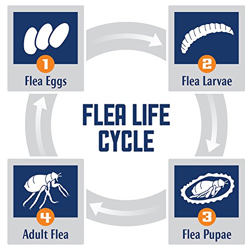 ProSense 7 Flea & Tick Prevention and Control for Dogs Over 66 lb - 3 Month Supply (P-87132) - Thumbnail 7