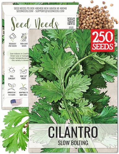 Seed Needs Cilantro Seeds to Plant Slow Bolting Heirloom & Non-GMO 1 Pack