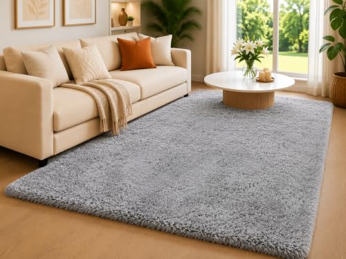 Image of Shaggy Carpet 6x9 Ft for Living Room & Bedroom (Silver)