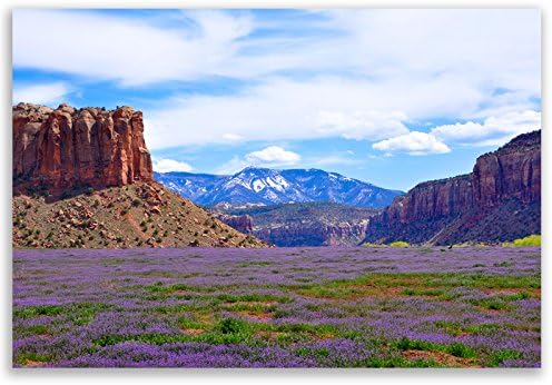 Miniatura 4 de AMERICA THE BEAUTIFUL juego de postales de 20. Paquete variado de tarjetas postales que representan sitios de viajes de Estados Unidos y postales