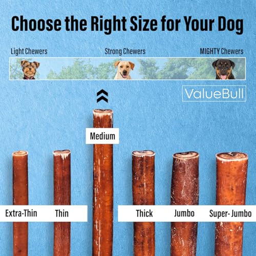 ValueBull-Bully-Sticks-for-Dogs-Medium-6-Inch-100-Count-Bulk-Pack-All-Natural-Dog-Treats-100-Beef-Pizzles-Single-Ingredient-Rawhide-Alternative ValueBull Bully Sticks for Dogs Medium 6 Inch 100 Count Bulk Pack All Natural Dog Treats 100 Beef Pizzles Single Ingredient Rawhide Alternative