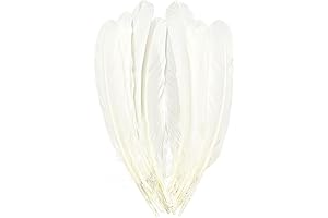 12 Pack Natural White Big Goose Feathers for Crafts
