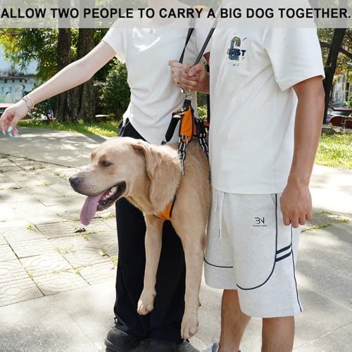 COODEO Mobility Hundegeschirr zum Heben, Notfall-Trageschlaufe, Haustier-Heckbeinstütze, Rehabilitationsweste, Hundetrage für ältere Hunde, Gelenkverletzungen, Arthritis (Orange, L)