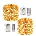 LightsEtc 8 Modes 2 Pack 33 Feet 100 Led Fairy String Lights with Battery Remote Timer Control Operated Waterproof Copper Wire Fairy Lights for Room Wedding Garden Party Wall Tree Decoration