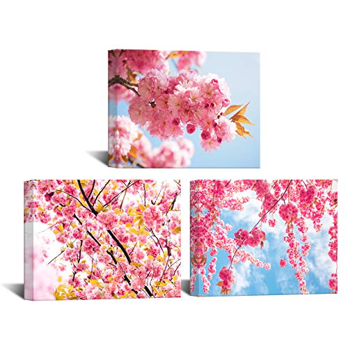 iKNOW FOTO 3 Pieces Flower Canvas Wall Art Cherry Sakura Blossom in Spring Picture Print Modern Home Decor Elegant Flowers Artwork Abstract Floral Paintings on Canvas for Bedroom Girls Room Decor iKNOW FOTO 3 Pieces Flower Canvas Wall Art Cherry Sakura Blossom in Spring Picture Print Modern Home Decor Elegant Flowers Artwork Abstract Floral Paintings on Canvas for Bedroom Girls Room Decor
